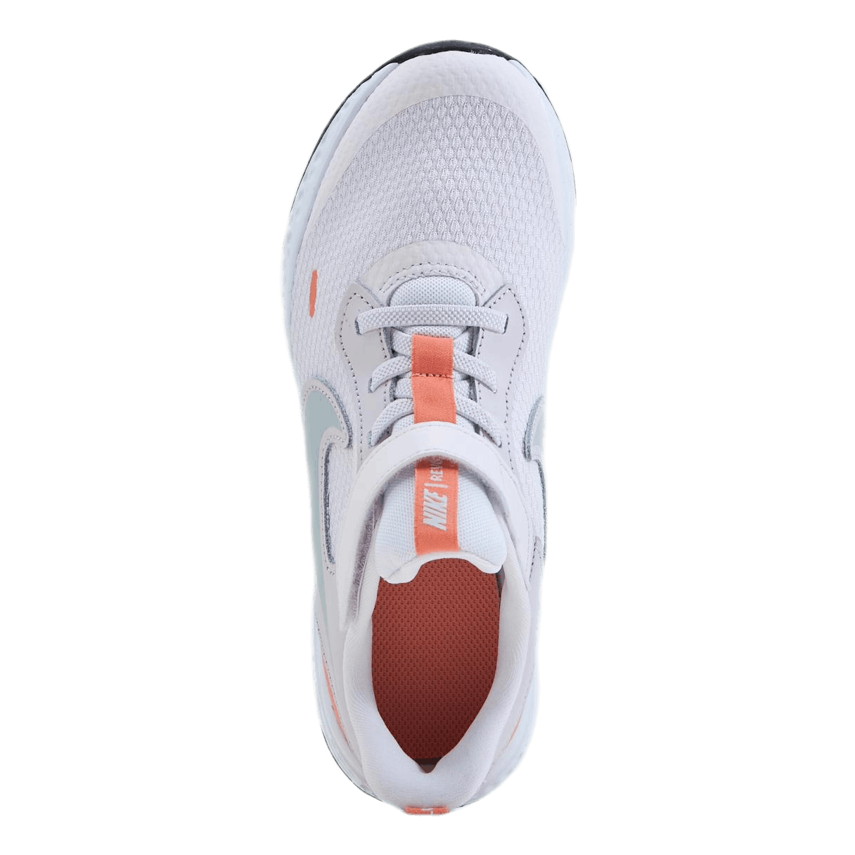 Revolution 5 PS Purple