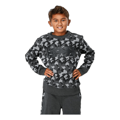 Junior Trevor Crewneck Patterned/Grey