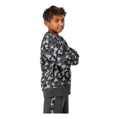 Junior Trevor Crewneck Patterned/Grey